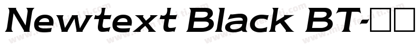 Newtext Black BT字体转换